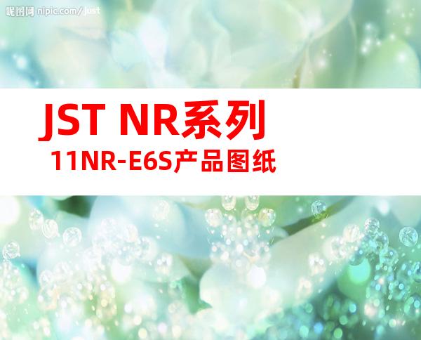 JST NR系列 11NR-E6S产品图纸